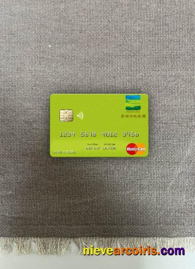 Japan Norinchukin Bank mastercard photolook